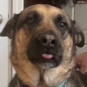 Meet your Posher, Avs